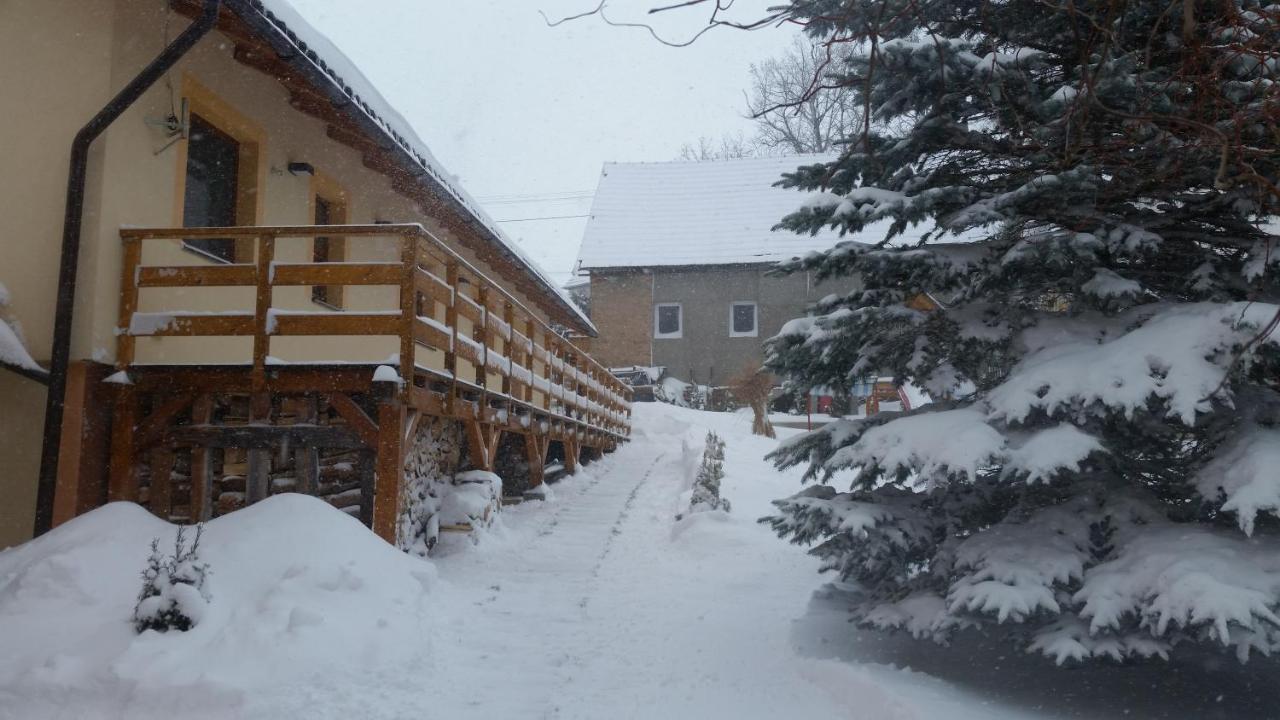 Vila Rhea Važec Buitenkant foto